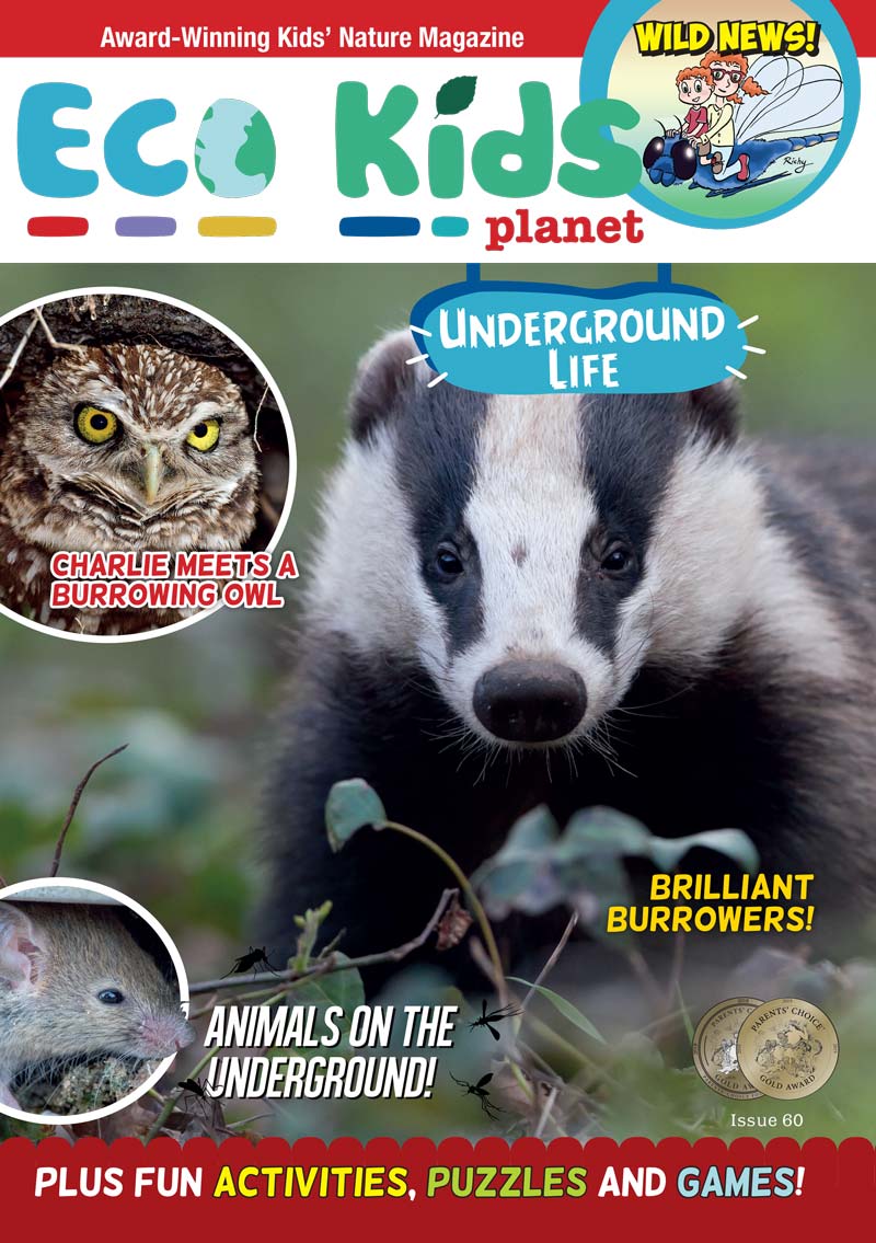 Kid's Nature Magazines - Issue 60 - Underground Life