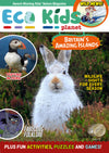 Kid&#39;s Nature Magazines – Issue 61 – Britain&#39;s Amazing Islands