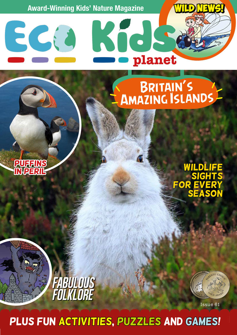 Kid's Nature Magazines – Issue 61 – Britain's Amazing Islands