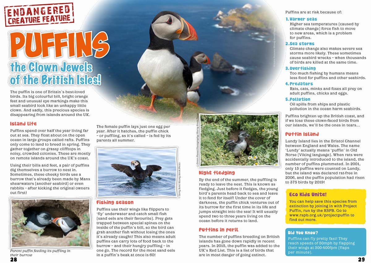 Kid&#39;s Nature Magazines – Issue 61 – Britain&#39;s Amazing Islands