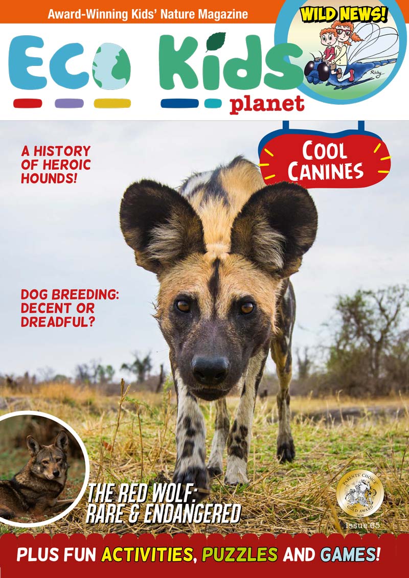 Kid's Nature Magazines – Issue 65 – Cool Canines