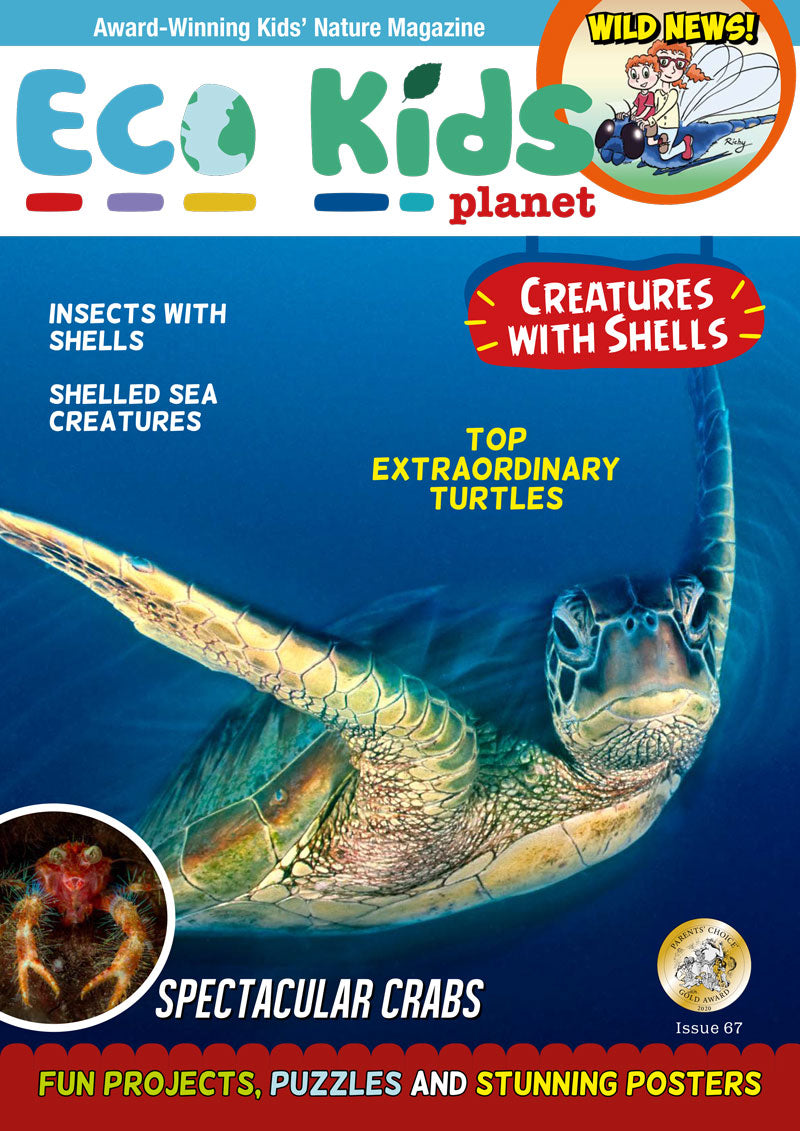 Kid's Nature Magazines – Issue 67 – Creatures with Shells