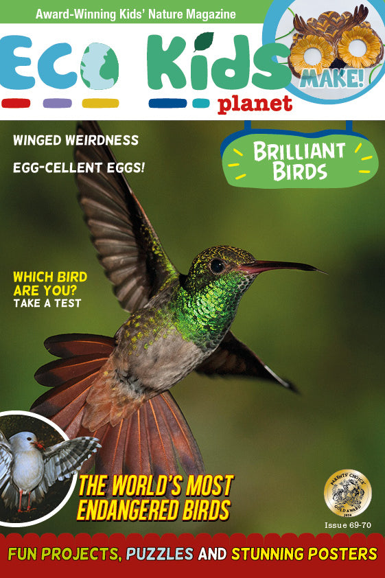 Kid's Nature Magazines - Issue 69/70 - Brilliant Birds