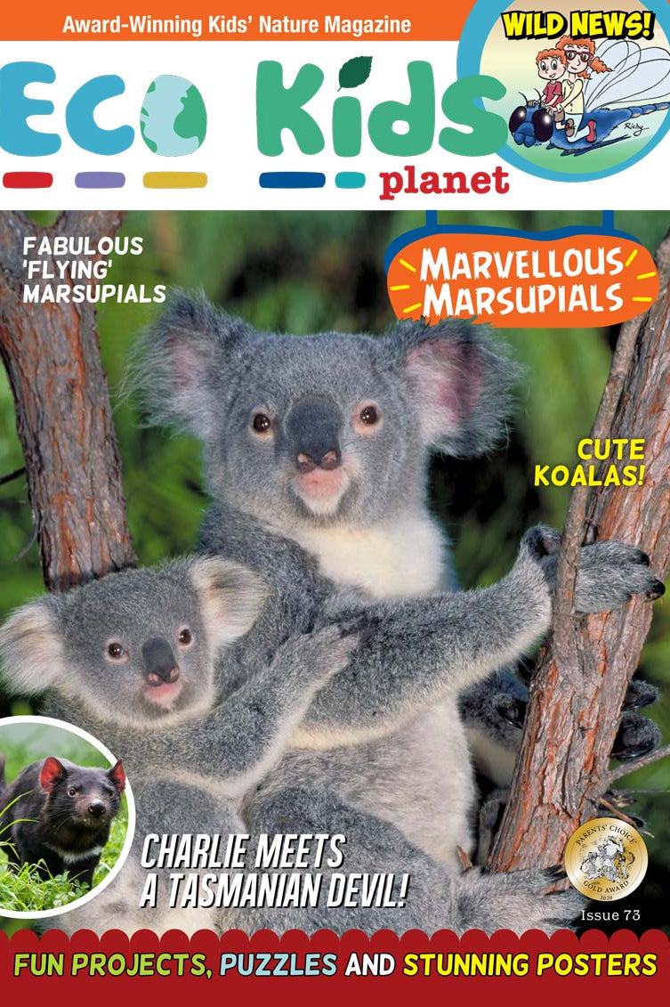 Kid's Nature Magazines – Issue 73 – Marvellous Marsupials