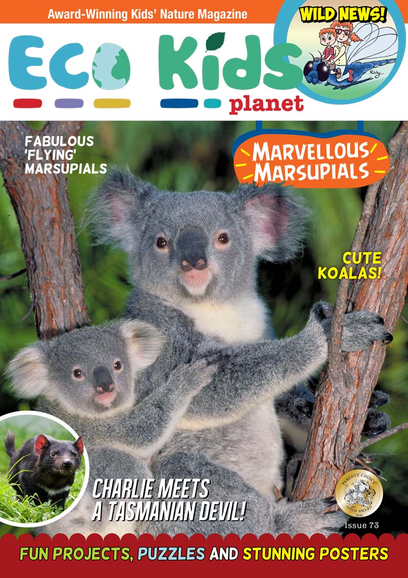 Kid's Nature Magazines – Issue 73 – Marvellous Marsupials
