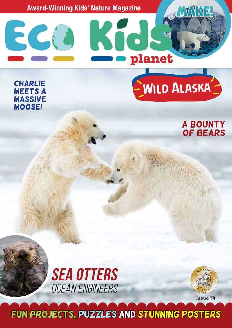 Kid's Nature Magazines – Issue 74 – Wild Alaska