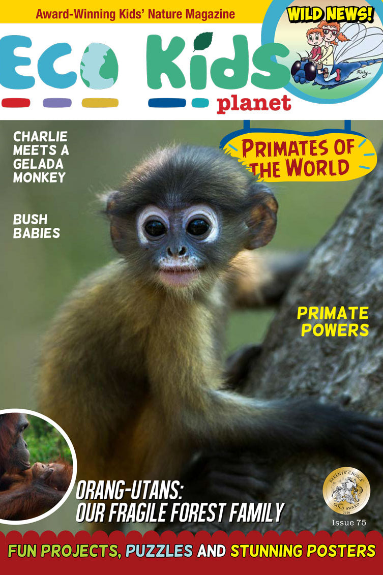 Kid's Nature Magazines – Issue 75 – Primates of the World