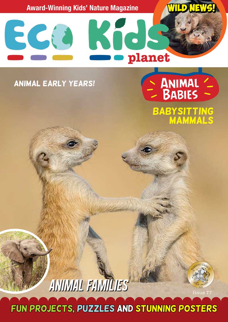 Kid's Nature Magazines – Issue 77 – Animal Babies