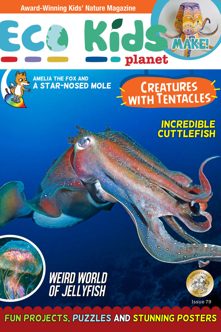 Kid's Nature Magazines – Issue 79 – Creatures with Tentacles