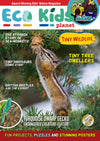 Kid&#39;s Nature Magazines – Issue 80 – Tiny Wildlife