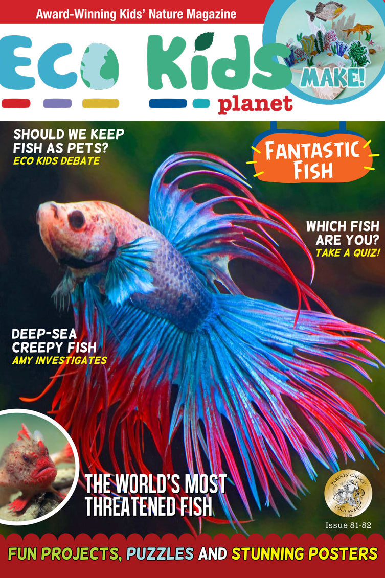 Kid's Nature Magazines – Issue 81/82 – Fantastic Fish
