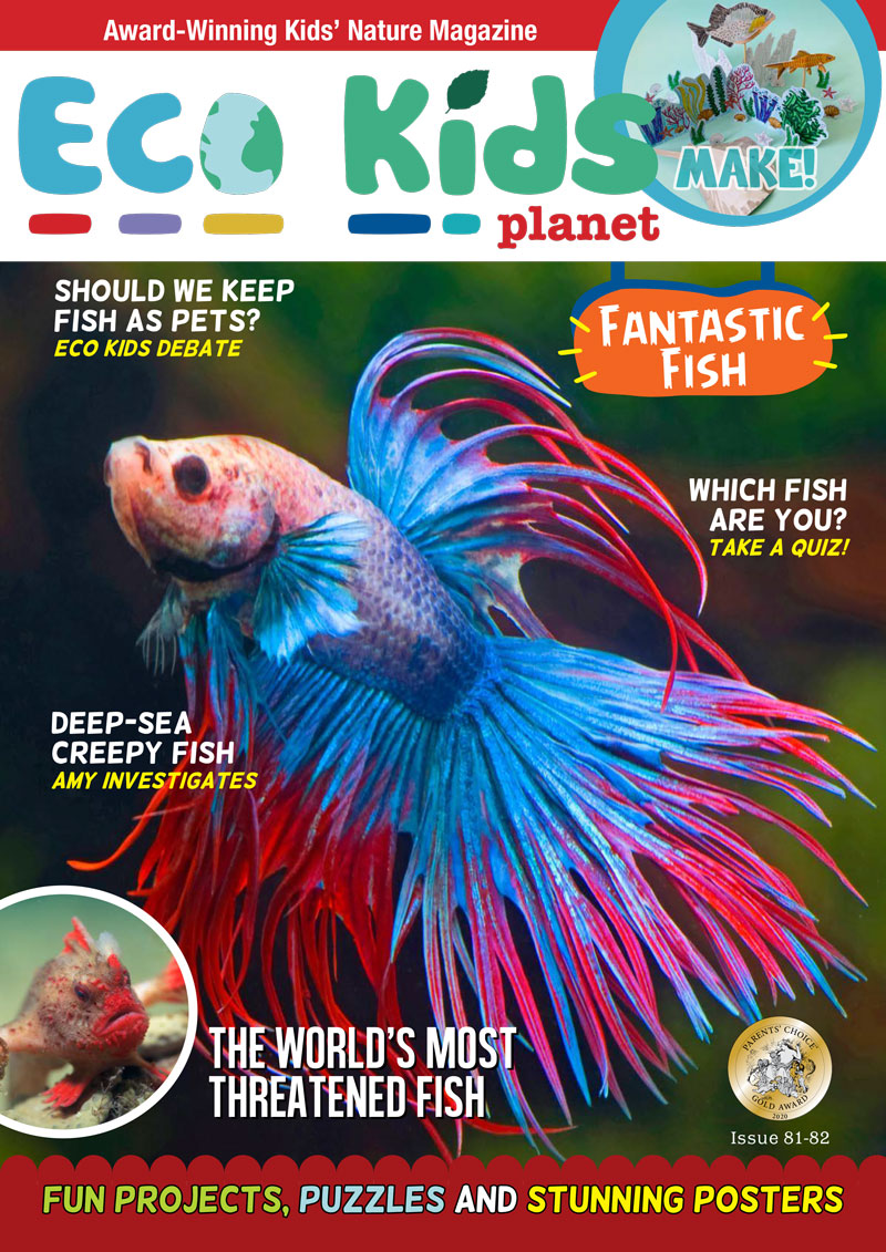 Kid's Nature Magazines – Issue 81/82 – Fantastic Fish