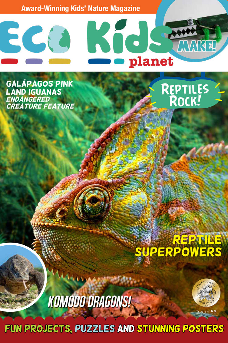 Kid's Nature Magazines – Issue 83 –  Reptiles Rock!