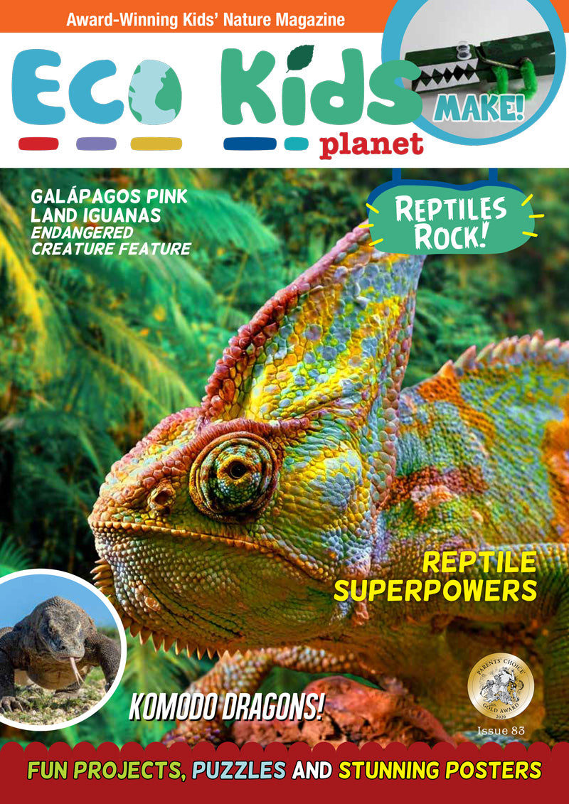 Kid's Nature Magazines – Issue 83 –  Reptiles Rock!