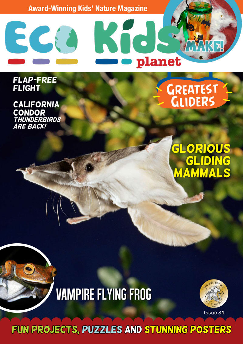 Kid's Nature Magazines – Issue 84 –  Greatest Gliders
