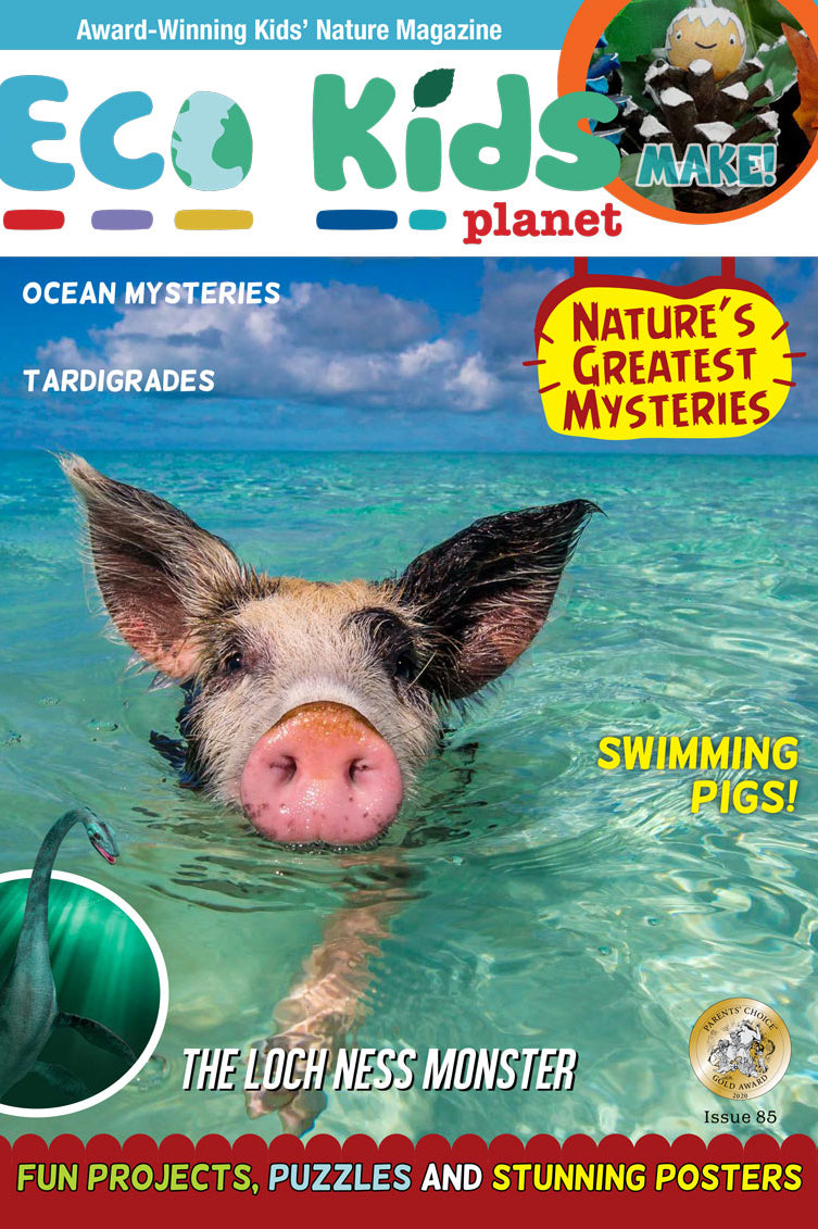 Kid's Nature Magazines – Issue 85 –  Nature's Greatest Mysteries