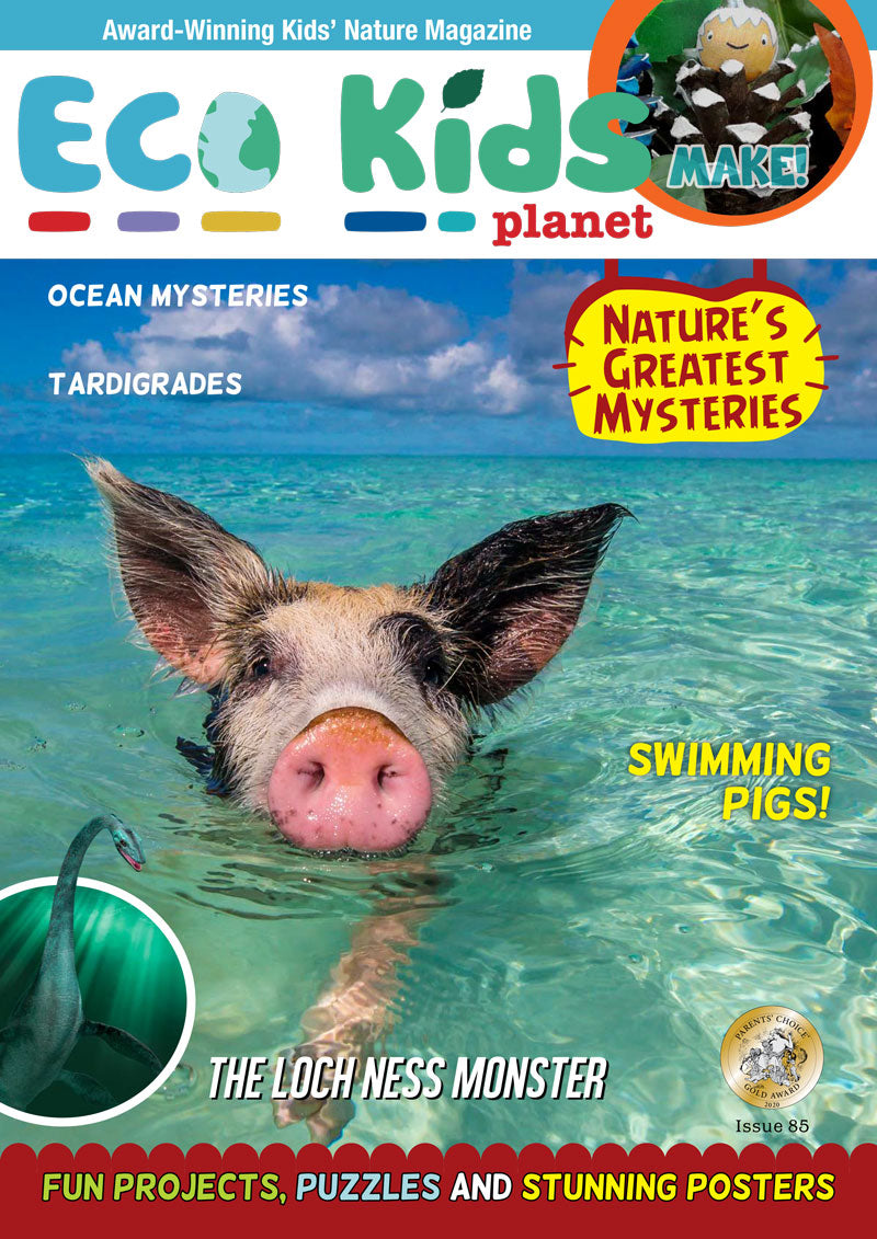 Kid's Nature Magazines – Issue 85 –  Nature's Greatest Mysteries