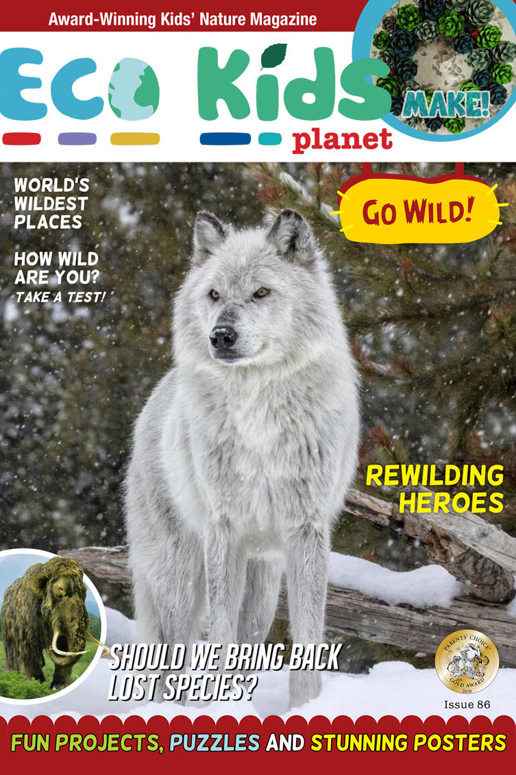 Kid's Nature Magazines – Issue 86 – Go Wild!
