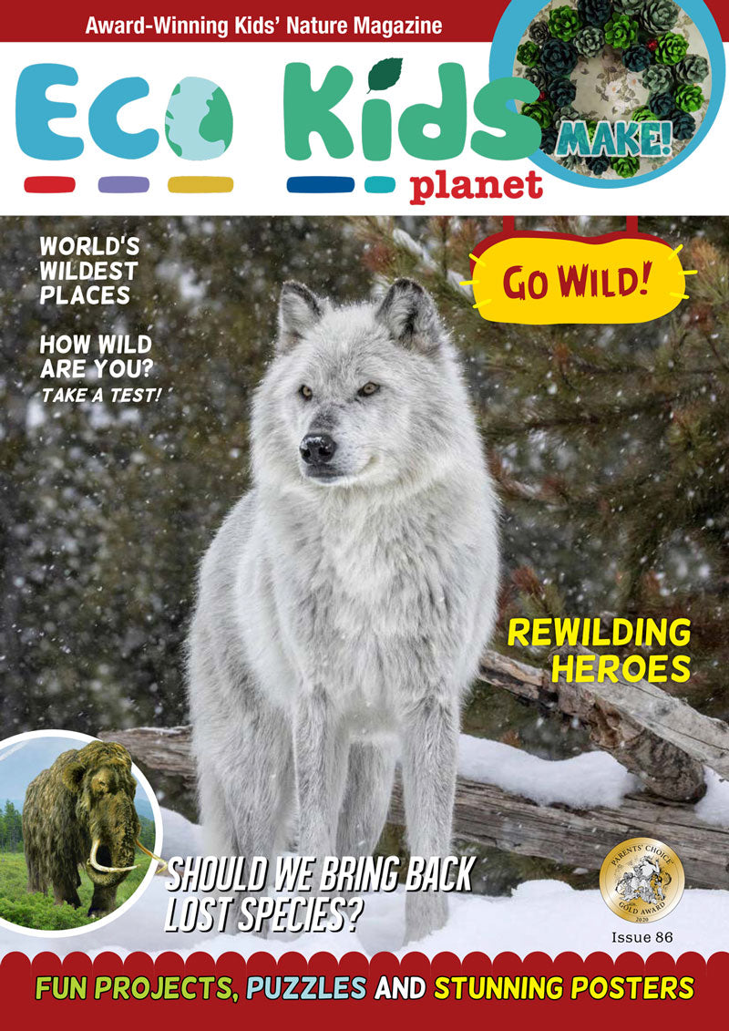 Kid's Nature Magazines – Issue 86 – Go Wild!