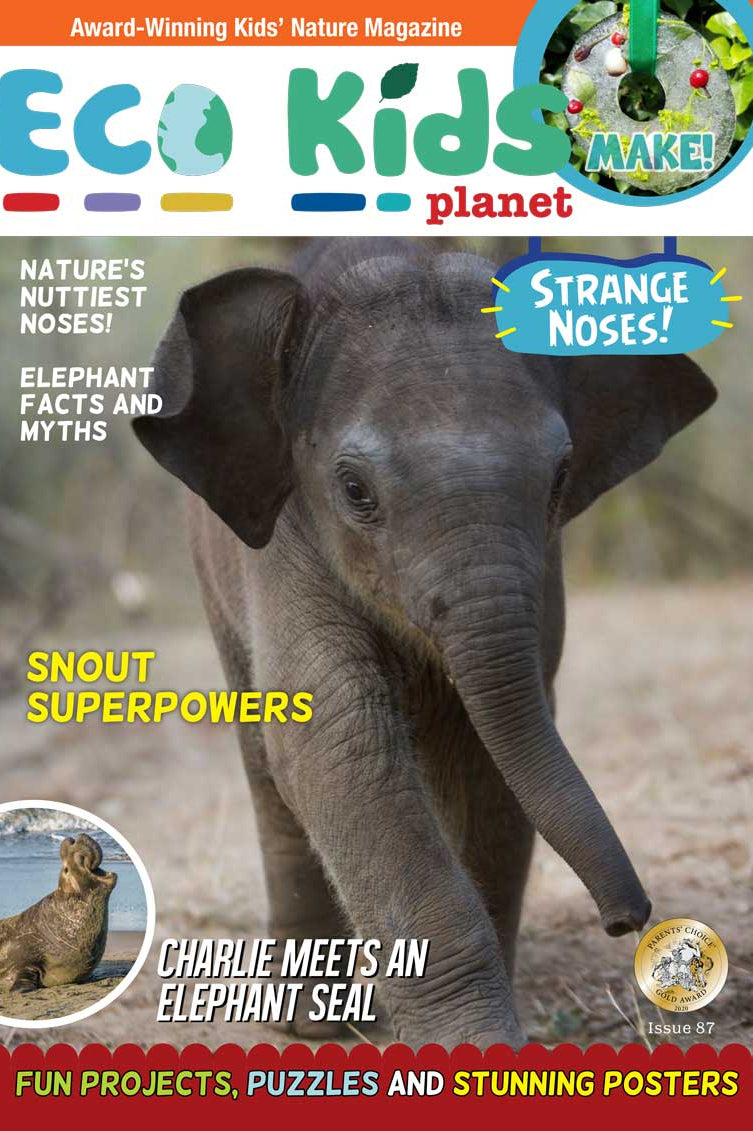Kid's Nature Magazines – Issue 87 – Strange Noses!