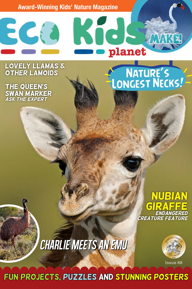 Kid's Nature Magazines – Issue 88 – Nature's Longest Necks