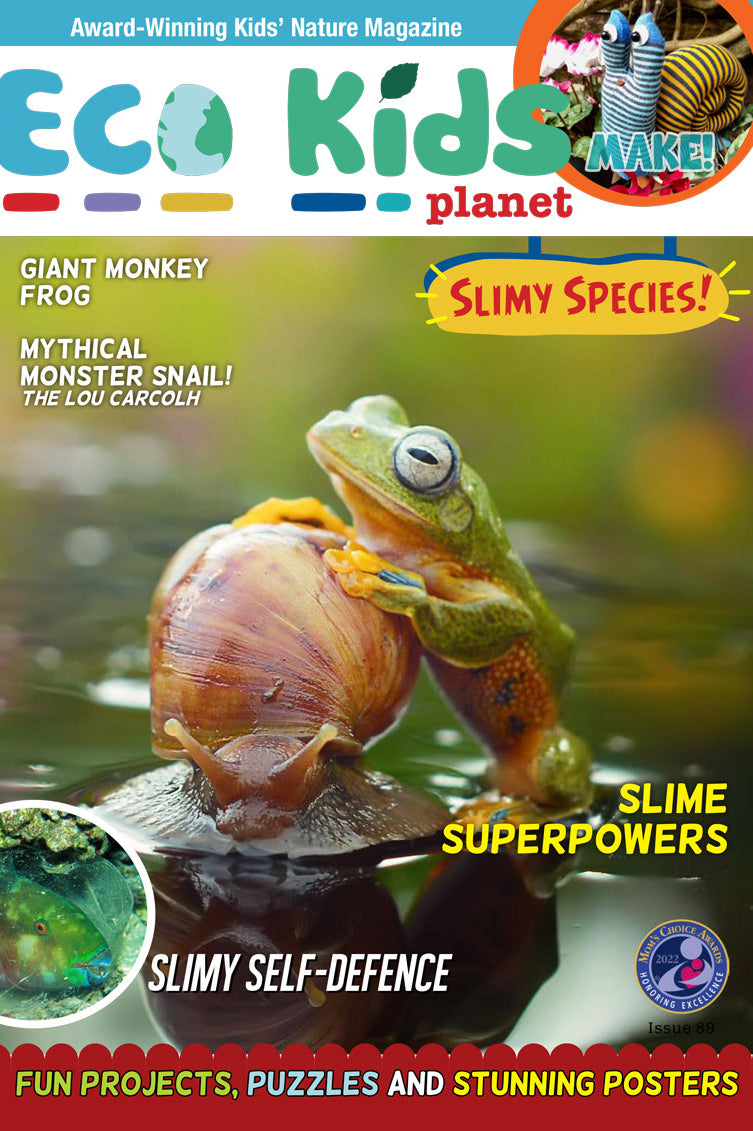 Kid's Nature Magazines – Issue 89 – Slimy Species!