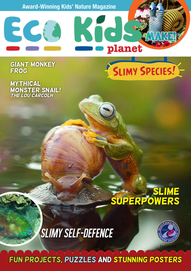 Kid's Nature Magazines – Issue 89 – Slimy Species!