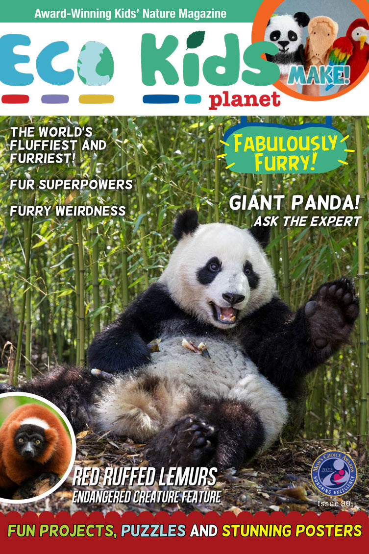 Kid's Nature Magazines – Issue 90 – Fabulously Furry!