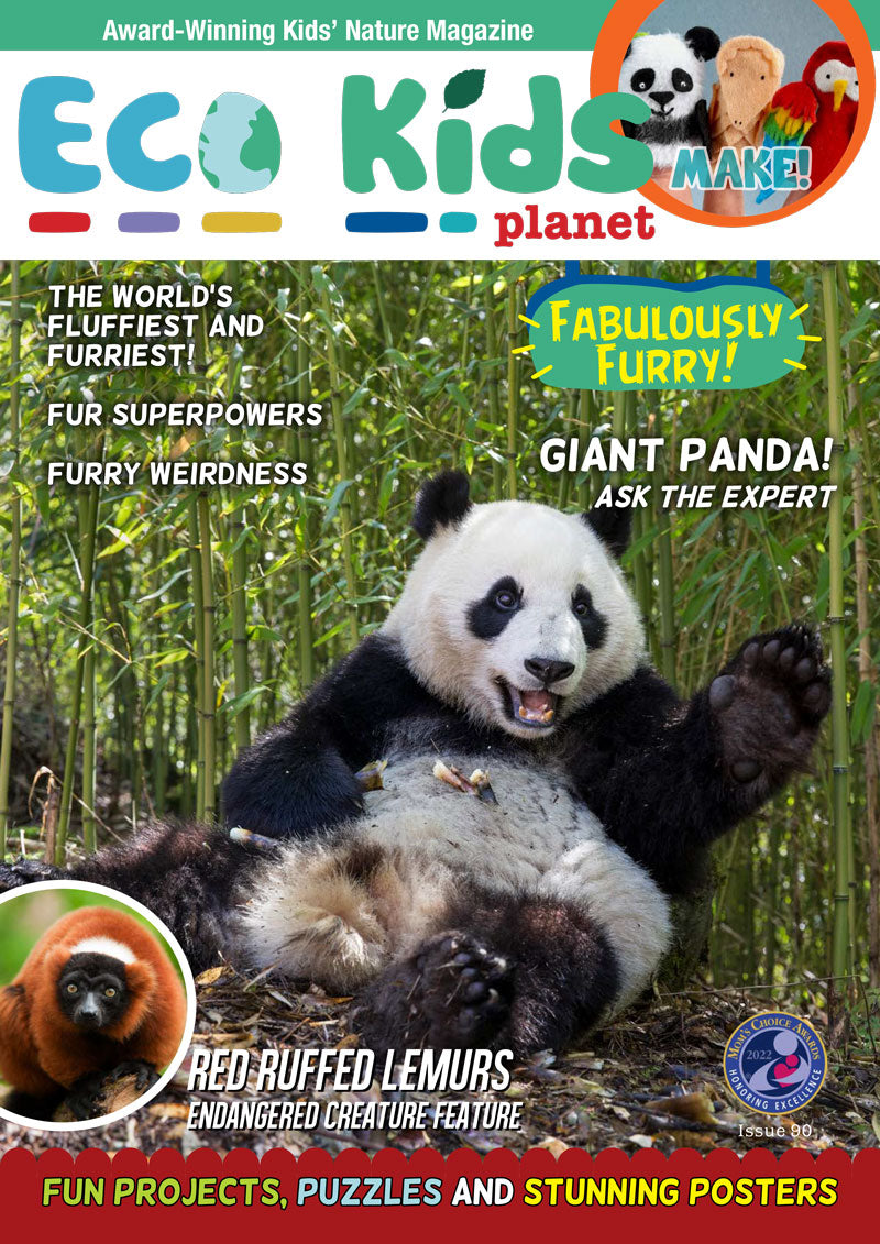 Kid's Nature Magazines – Issue 90 – Fabulously Furry!