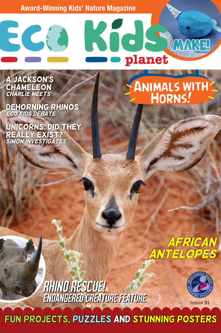 Kid's Nature Magazines – Issue 91 – Animals with Horns!
