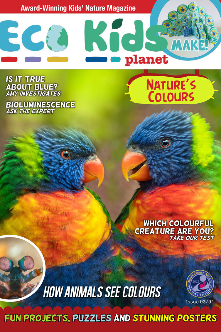Kid's Nature Magazines – Issue 93/94 - Nature's Colours