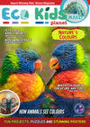 Kid&#39;s Nature Magazines – Issue 93/94 - Nature&#39;s Colours