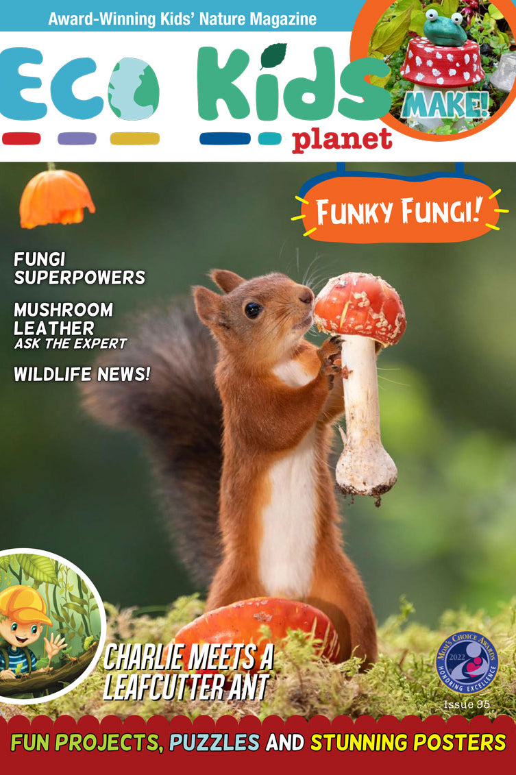 Kid's Nature Magazines – Issue 95 - Funky Fungi!
