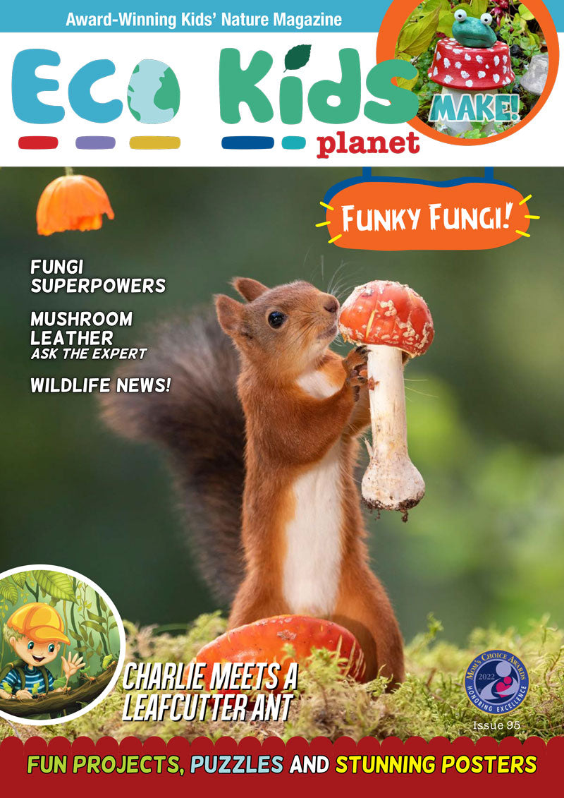 Kid's Nature Magazines – Issue 95 - Funky Fungi!