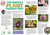 Kid&#39;s Nature Magazines – Issue 96 - Nature&#39;s Tricksters