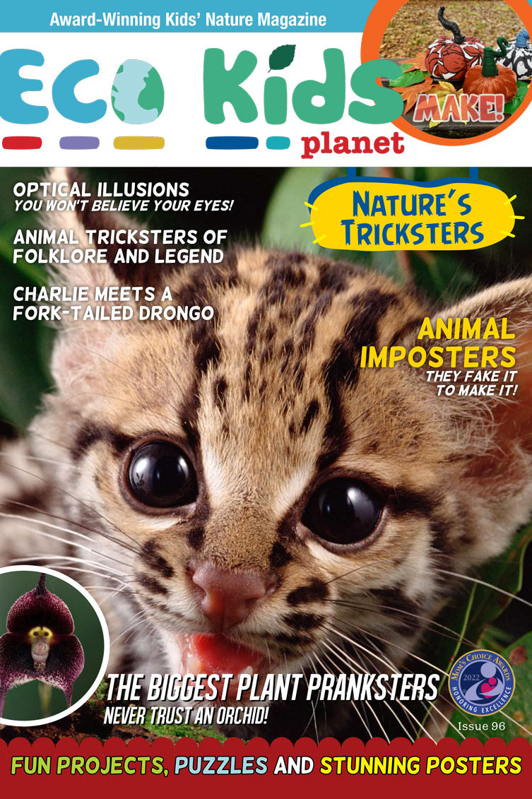 Kid's Nature Magazines – Issue 96 - Nature's Tricksters