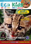 Kid&#39;s Nature Magazines – Issue 96 - Nature&#39;s Tricksters