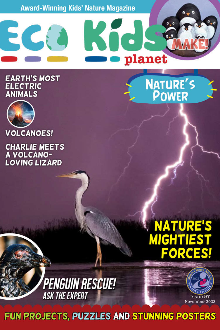 Kid's Nature Magazines – Issue 97 - Nature's Power!