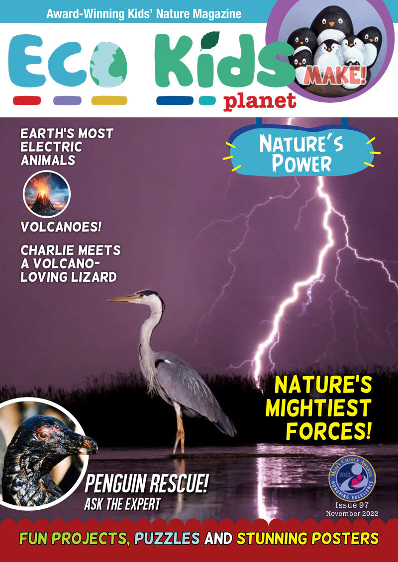 Kid's Nature Magazines – Issue 97 - Nature's Power!
