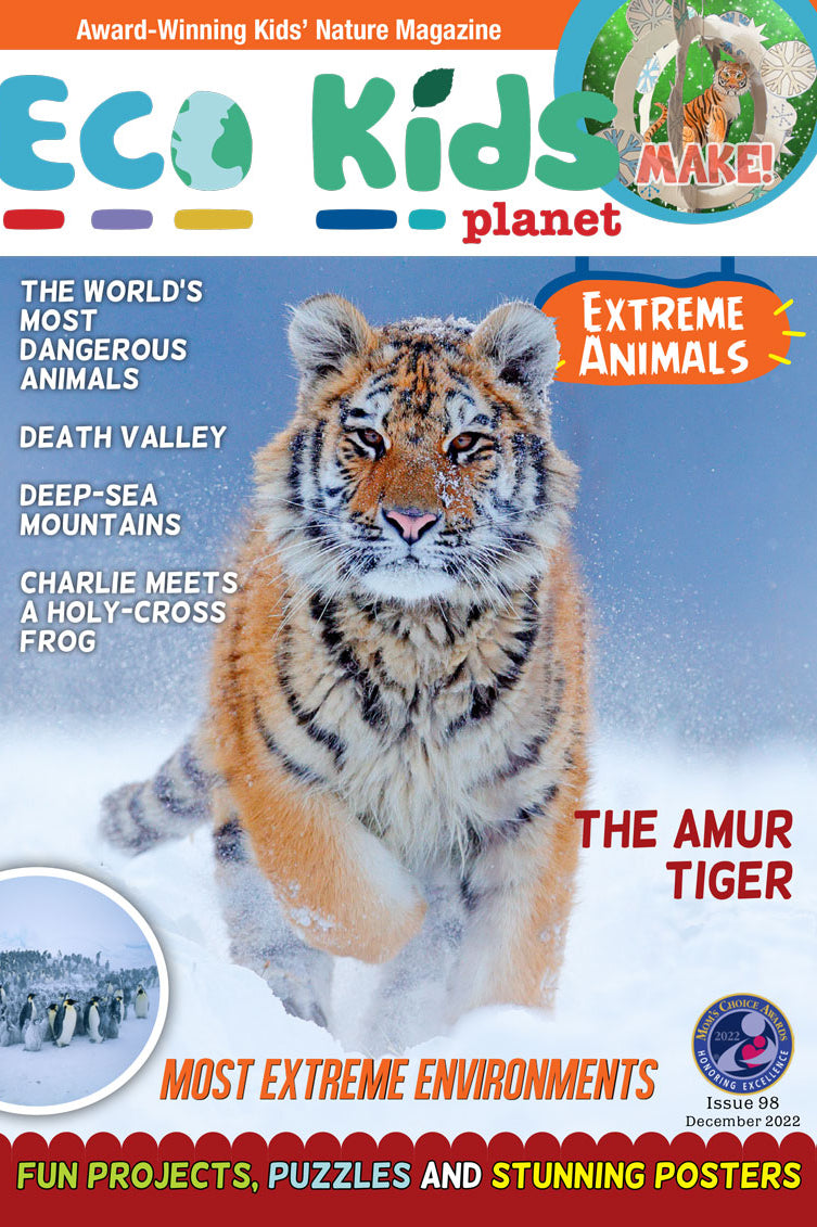 Kid's Nature Magazines – Issue 98 - Extreme Animals