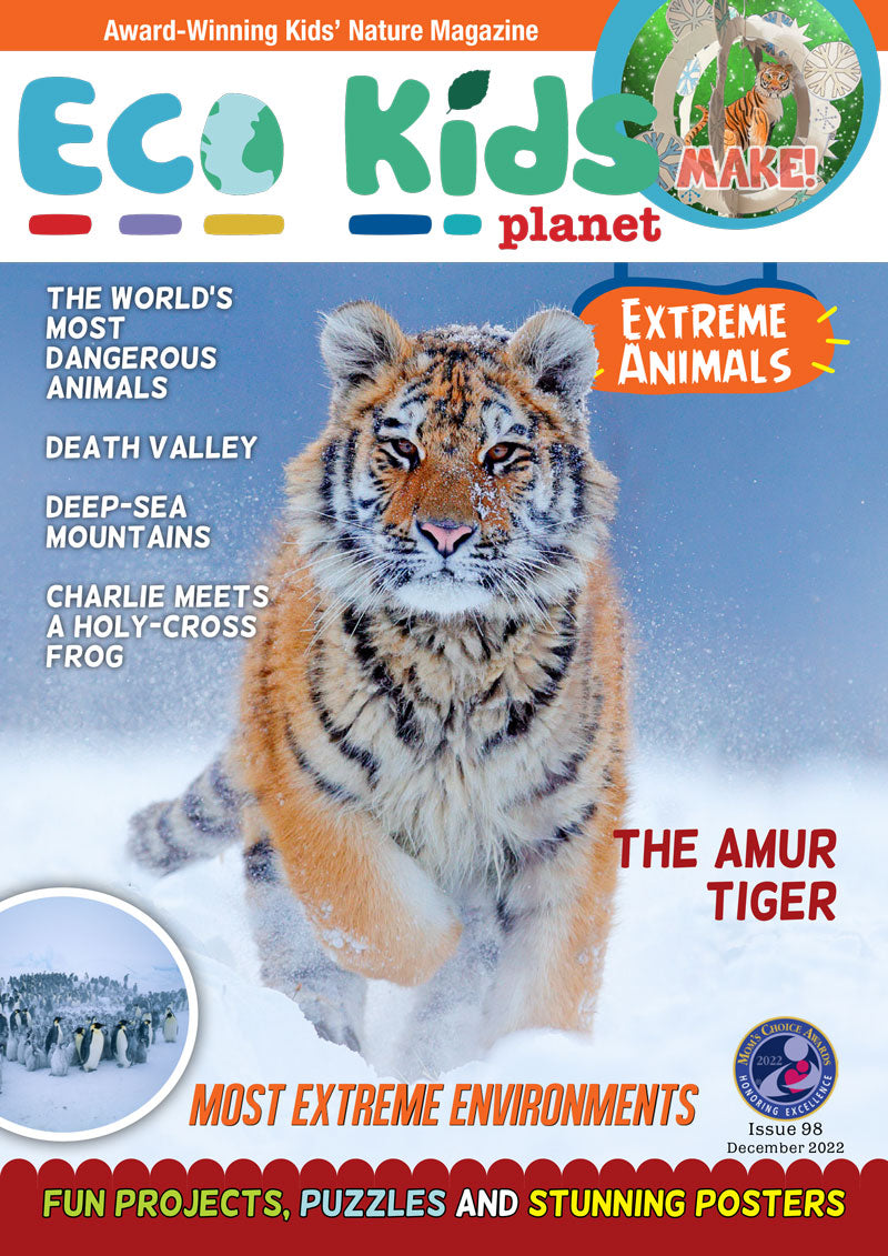 Animals Magazine Example Kid's Nature Magazines – Issue 98 - Extreme Animals - Eco Kids Planet