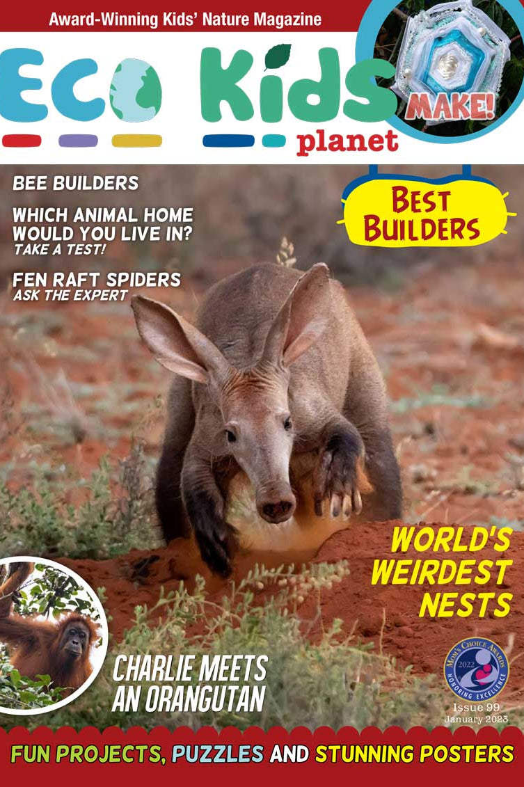 Kid's Nature Magazines – Issue 99 - Best Builders!