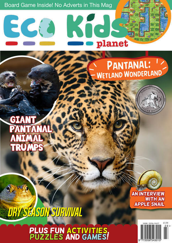 Kid's Nature Magazines - Issue 23 - Pantanal