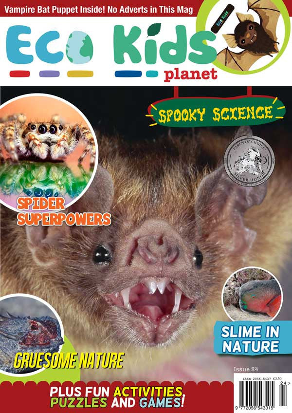 Kid's Nature Magazines - Issue 24 - Spooky Science