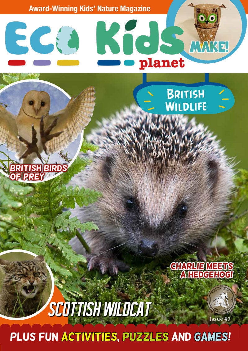 Kid's Nature Magazines - Issue 49 - British Wildlife