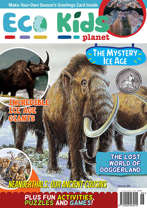 Kid's Nature Magazines - Issue 26 - The Mystery Ice Age
