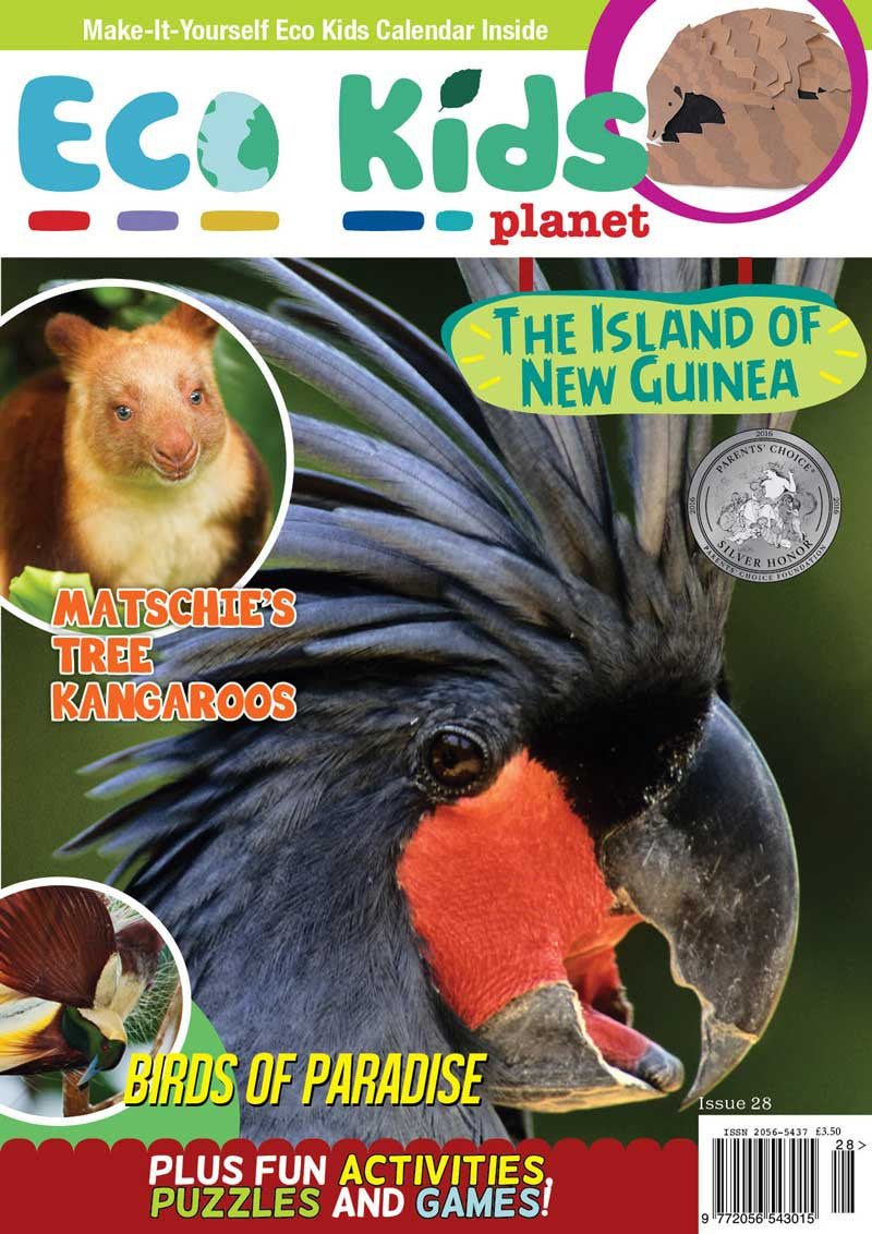 Kid's Nature Magazines - Issue 28 - The Island of New Guinea