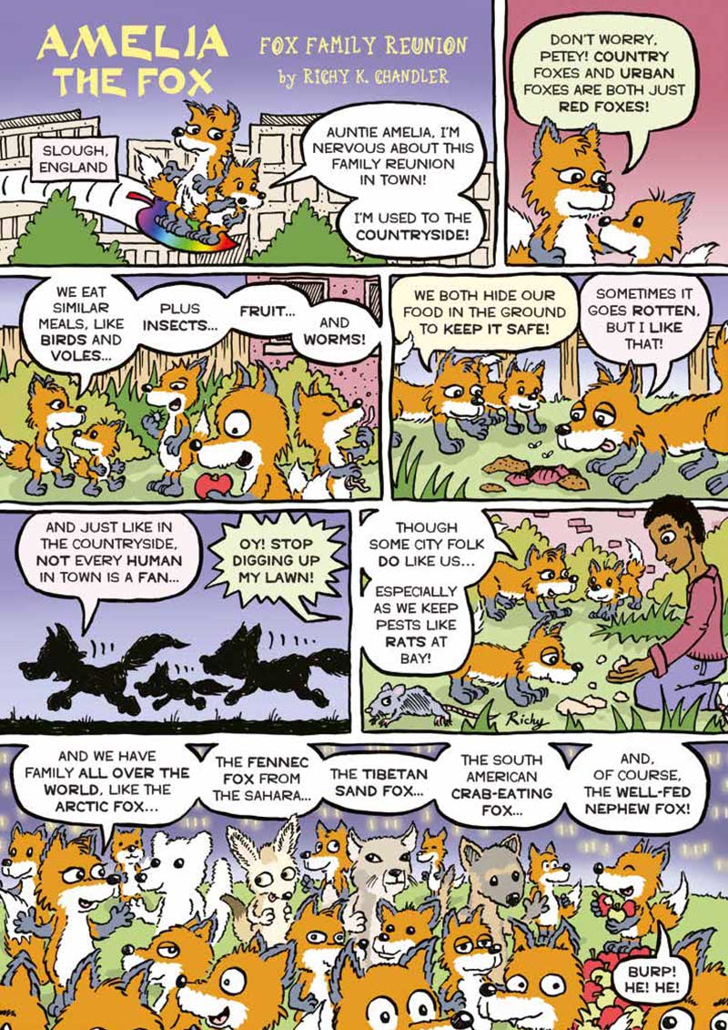 Kid&#39;s Nature Magazines - Issue 49 - British Wildlife