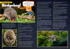 Kid&#39;s Nature Magazines - Issue 49 - British Wildlife