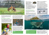 Kid&#39;s Nature Magazines - Issue 49 - British Wildlife